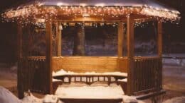 Beskyttelse af træ i vintertiden