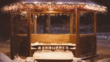 Beskyttelse af træ i vintertiden