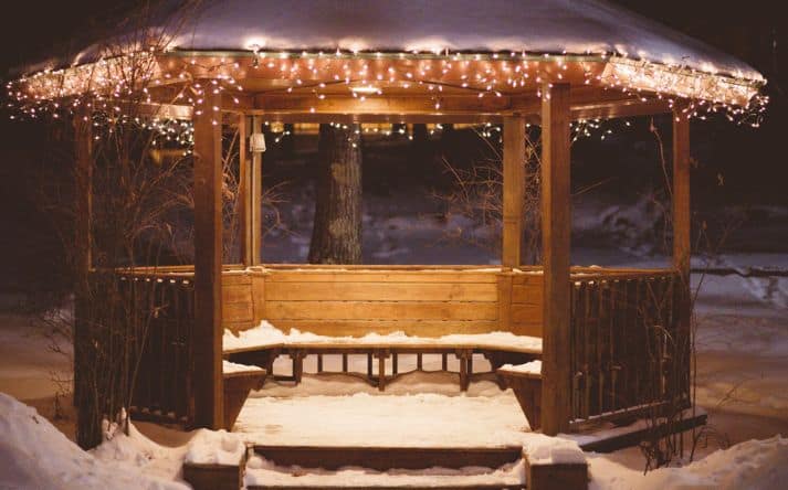 Beskyttelse af træ i vintertiden