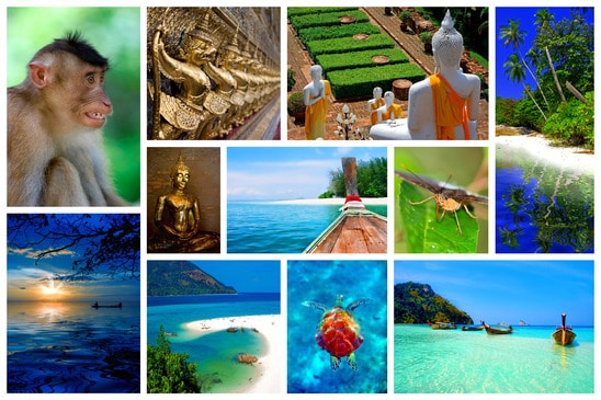 photodune-1245546-thailand-xs