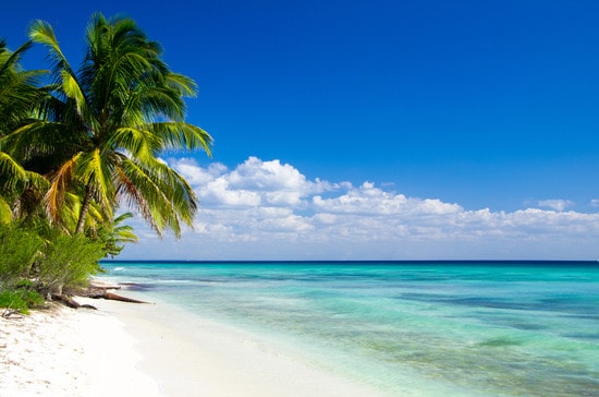 photodune-4484468-beach-xs